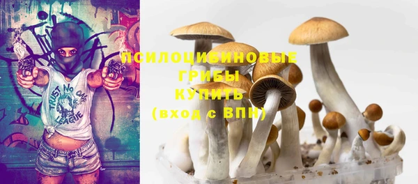 тгк Богородицк