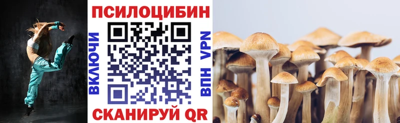 Псилоцибиновые грибы MAGIC MUSHROOMS купить сайты Наро-Фоминск